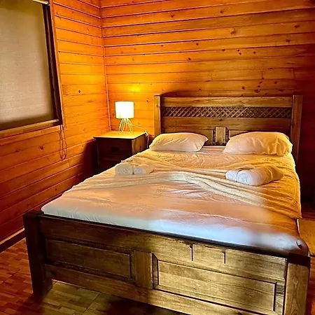 Guest house Emigrante *